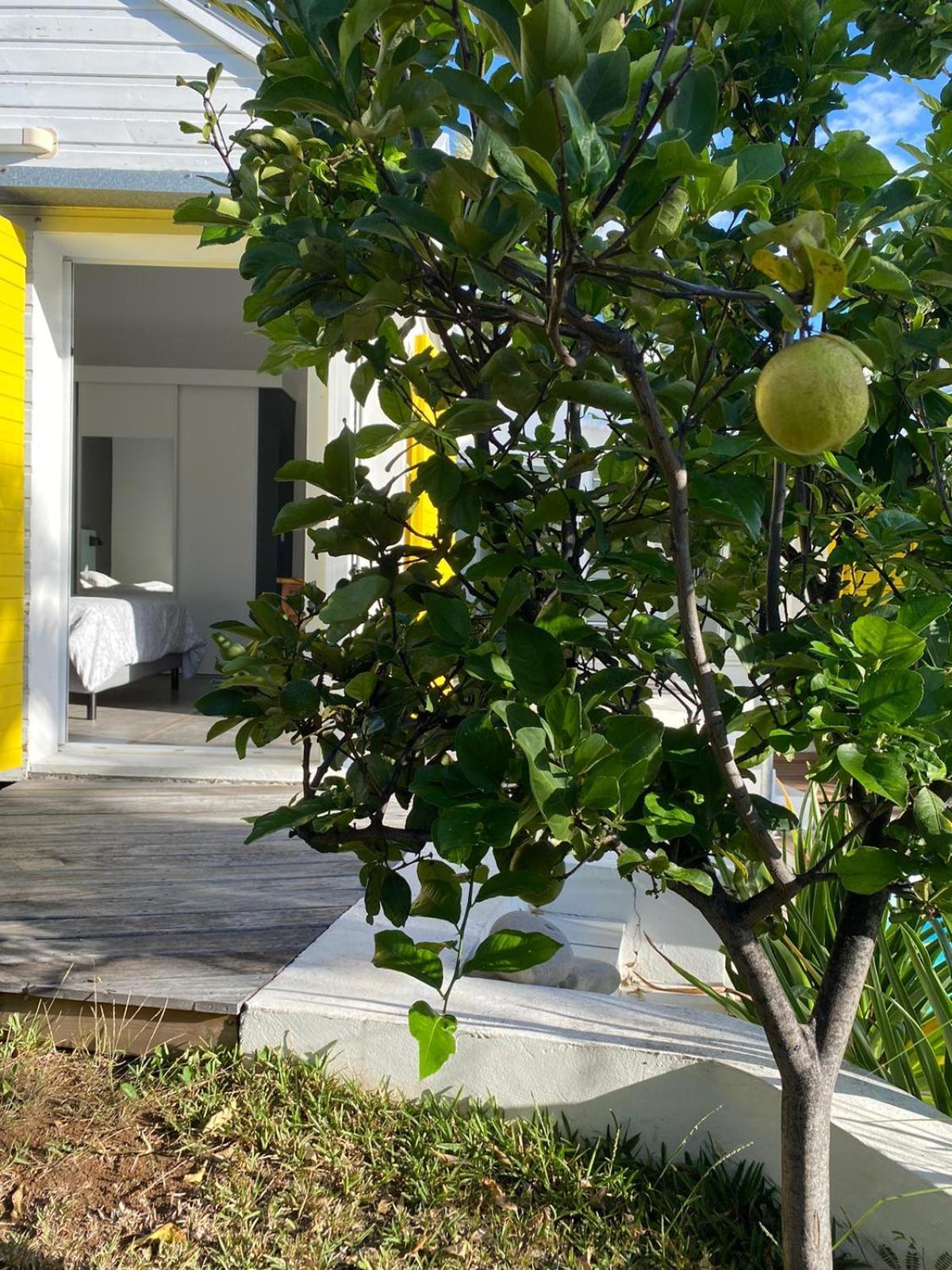 Villa Ylang Saint-Gilles-les Bains Kültér fotó